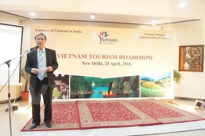 Vietnam’s tourism promoted in India - ảnh 1